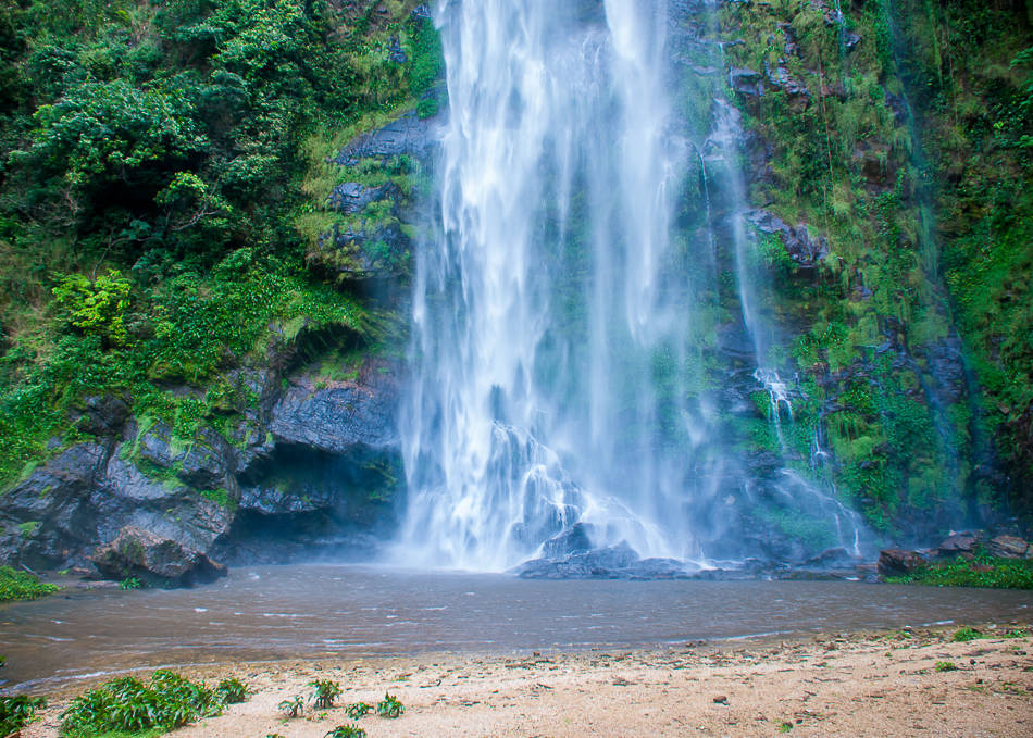 Kakum Canopy & Cape Coast Escape